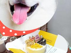 -熊猫不走蛋糕（同城送）(长沙店)