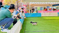 -萌宠亲子动物乐园(槐房万达店)