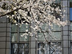 -星湖街(地铁站)