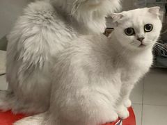 -佳禾健身(三元里店)