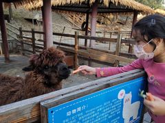-北京鹿世界主题园