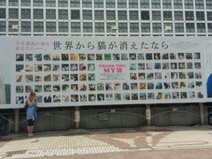 -涩谷区