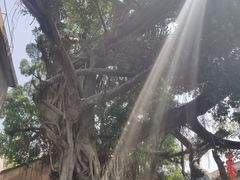 -公平面馆(总店)