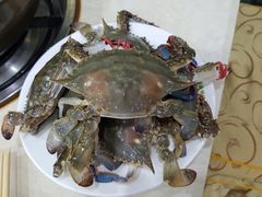 -春华海鲜城(广场西苑店)