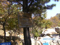 -沂蒙山旅游区云蒙景区(蒙山国家森林公园)