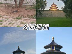 -天坛公园