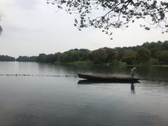 -西院1号(龙井店)