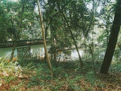 -杭州植物园