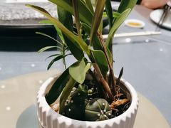 -浙江西子宾馆·牡丹厅