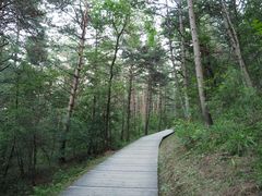 -帽儿山国家森林公园