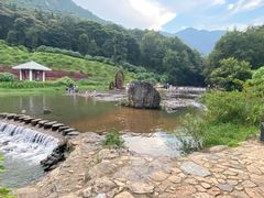 -广州市石门国家森林公园