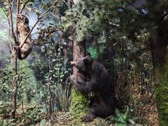 -陕西自然博物馆