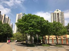 -苏州河梦清园环保主题公园