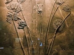 -湖南省地质博物馆