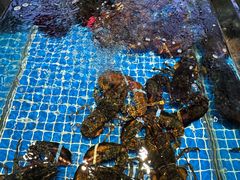 -宴小馆·小海鲜青岛菜(五四广场店)