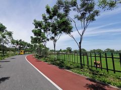 -上海长兴岛郊野公园