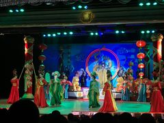 -金东尼人妖秀