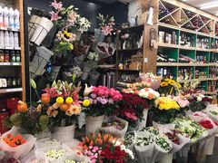 -绿叶子(春秀路店)