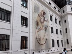 -国家自然博物馆