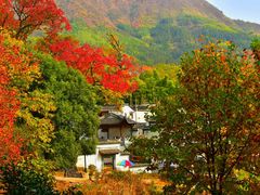 -塔川景区