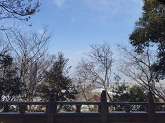 -阅江楼风景区