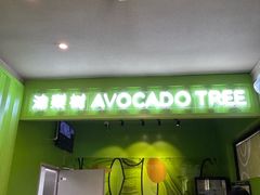 -油梨树AVOCADO TREE(顺义新国展店)