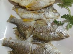 甘蔗炖排骨-森记鱼粥