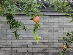 -北京颐和宾馆