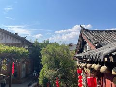 -饵块食光·云南有机手作饵块