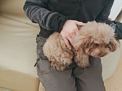 -宠颐生中康贝怡动物医院