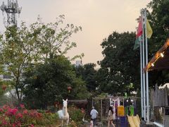 -花溪雨·森林餐厅(石基店)