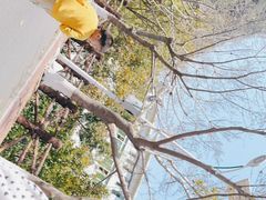 -潮福城潮州大酒楼(湖滨北路店)