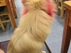 -老姐石板烧烤+铜炭火锅(总店)