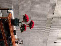 -一澜江宴·江景地标楚菜(江滩公园店)