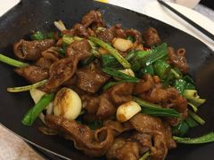 干锅肥肠-津悦·正阳春烤鸭(红旗南路店)