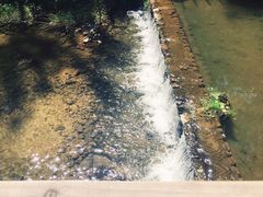 -Local泰莲庭(虹鳟鱼店)