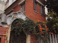 -猫咪博物馆(顶澳仔猫街店)