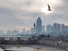 -星海广场