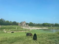 -上海野生动物园