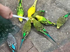 -南宫五洲植物乐园