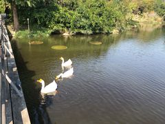 -浙江农林大学(东湖校区)