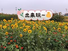 -映月湖中央公园
