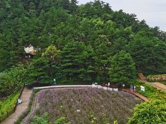 -云峰山自然风景区