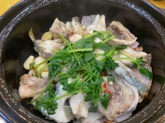 -阿四台山黄鳝饭(东门店)
