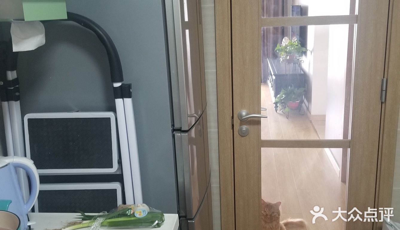 乐家快手小厨房之番茄排骨汤