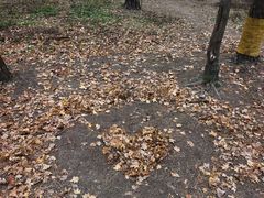 -帽儿山国家森林公园