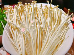 金针菇-黄门火锅(梦时代店)