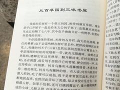 -鲁镇