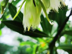 -水濂山森林公园