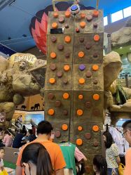 -卡通尼·Safari非洲探索乐园·生日会(金桥国际商业广场店)